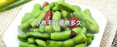 ​水煮毛豆什么时候放盐 煮毛豆需要多长时间什么时候放盐