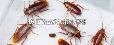 ​为什么杀虫喷雾能杀死蟑螂 喷雾剂能杀死蟑螂吗