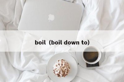 ​boil（boil down to）