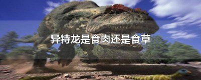 ​异特龙是怎么捕食的 异特龙是食肉动物还是食草动物