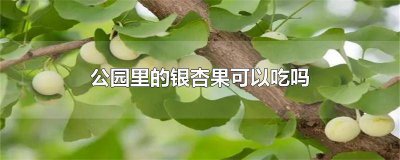 ​银杏果可以吃吗 银杏果可以吃么
