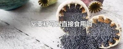 ​罂粟花的籽子能吃吗 餐饮罂粟籽能用吗