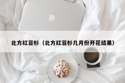 ​北方红豆杉（北方红豆杉几月份开花结果）