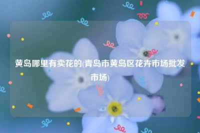 ​黄岛哪里有卖花的(青岛市黄岛区花卉市场批发市场)