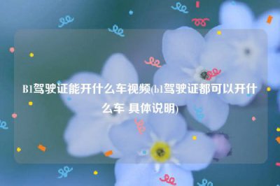 ​B1驾驶证能开什么车视频(b1驾驶证都可以开什么车 具体说明)