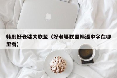 ​韩剧好老婆大联盟（好老婆联盟韩语中字在哪里看）