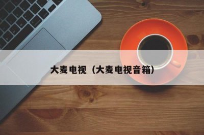 ​大麦电视（大麦电视音箱）