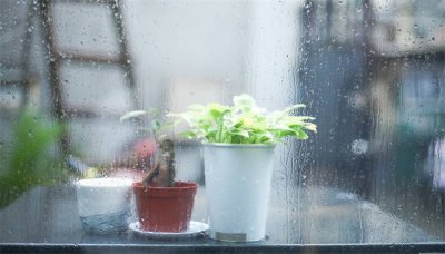 ​二氧化碳会导致酸雨形成吗 二氧化碳造成了酸雨