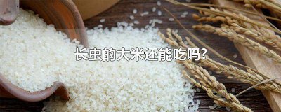 ​大米长虫子还可以吃吗 大米长虫子了能吃吗?