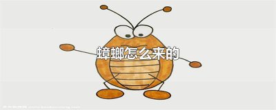 ​德国蟑螂是德国的吗 德国小蟑螂长什么样子