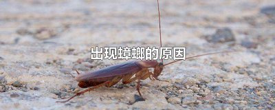 ​房间出现蟑螂是什么原因 房间有蟑螂是什么原因