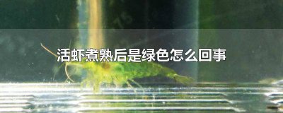 ​活虾煮熟后是绿色怎么回事儿啊 活虾煮熟后为啥发绿