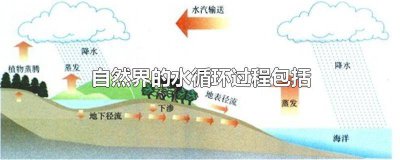 ​简述水的自然循环和社会循环过程 阐述水的自然循环过程