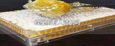 ​蜂巢是人做的还是蜜蜂? 蜂巢蜜一定是真的吗