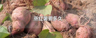 ​高压锅蒸红薯得多长时间 用高压锅蒸红薯要多长时间