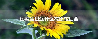 ​闺蜜生日送什么花最好? 闺蜜生日送什么花最好最浪漫