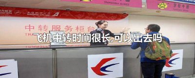 ​飞机中转时间很长,可以出去吗英语翻译怎么说 飞机中转时间很长,可以出去吗英语