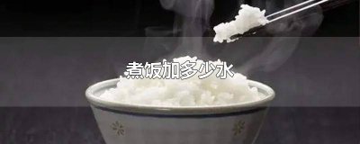 ​100g米煮饭加多少水 高压锅煮饭加多少水