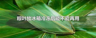 ​粽子叶放冰箱里怎么放 冰箱里的粽叶需怎么处理