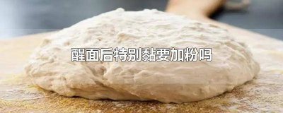 ​面醒完后太粘还能蒸馒头吗? 面醒完后太粘是为什么