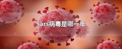 ​SARS病毒是哪年 sars病毒爆发是什么时候