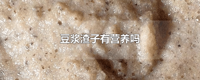​豆浆里的渣能吃吗有什么好处 豆浆的豆渣有营养价值吗