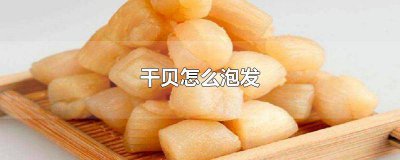 ​干贝怎么泡发视频 干贝怎么泡发最好早读