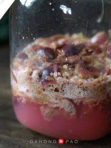 ​酿葡萄酒的菌是(酿葡萄酒)