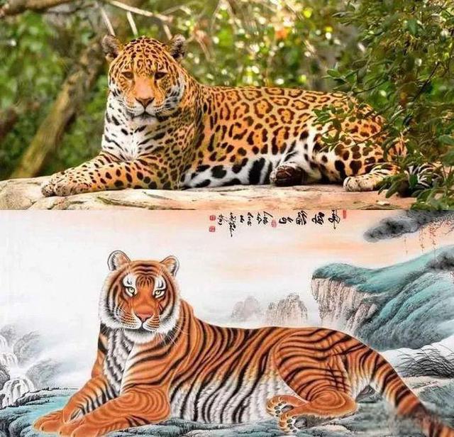 奇塔Cheetah不是豹，Leopard才是豹-
