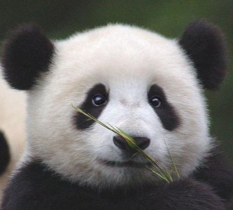 ​黑眼圈很重怎么办？六种去黑眼圈最有效的方法
