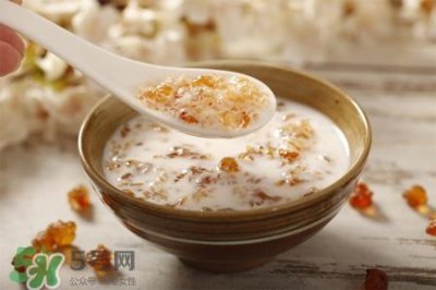 ​桃胶可以煲汤吗？桃胶怎么煲汤？