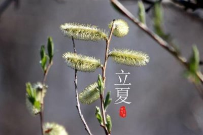 ​立夏吃蚕豆是什么意思 立夏吃安宫牛黄丸好吗