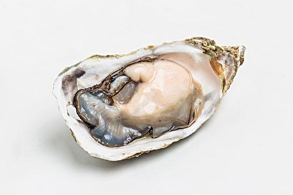 生蚝什么季节最肥最好吃 生蚝什么时间段吃最佳