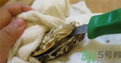 ​生蚝怎么打开壳?生蚝怎么打开图