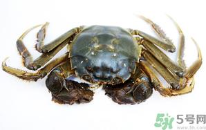 河蟹死了还能吃吗？河蟹死了多久还能吃？