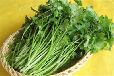 ​香菜有杀精子的作用吗 香菜对男性功能有影响吗