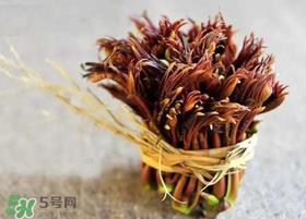 香椿几月份可以吃？香椿什么时候吃？