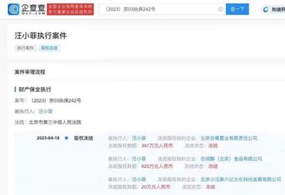 ​汪小菲退出S酒店内地关联公司 347万元股权被冻结
