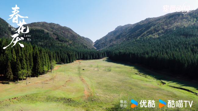 电视剧《春花厌》刘学义吴谨言为爱“疯癫”