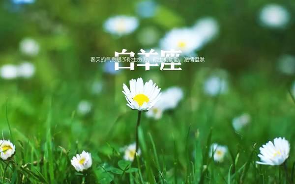 和女生聊天，