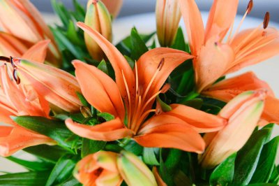 ​百合花花语