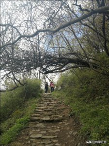 ​西安周边一日游，秦岭最美高山草甸-徒步秦楚古道