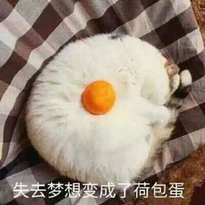 微信群头像沙雕搞笑的