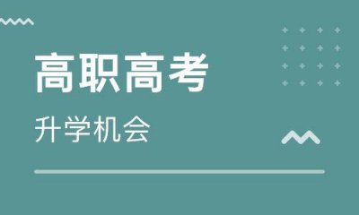 ​参加高职高考考生的类型