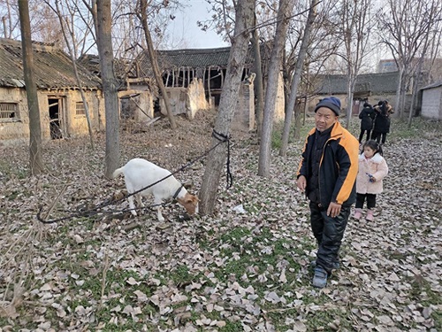 请欣赏：一组河南农村的老房子照片