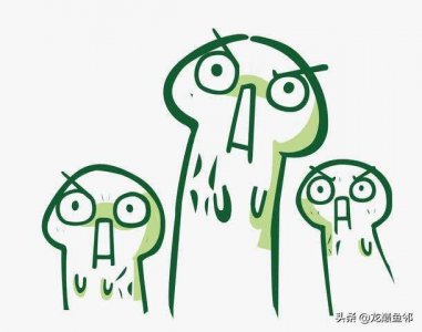 ​如果46块钱一度电，你还会考虑养鱼吗？