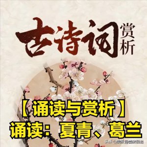 ​诵读与赏析汉乐府《长歌行》 诵读：夏青、葛兰 - 美·听