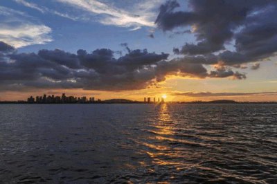 ​现场直击汤逊湖“清湖行动”