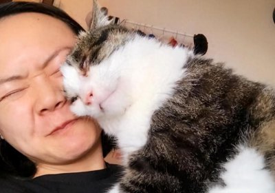 ​猫咪的这9个表现，说明已经认主了，很神奇！