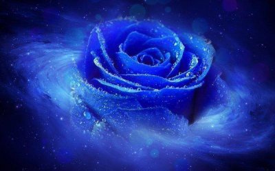 ​情感散文故事: 蓝色妖姬的传说